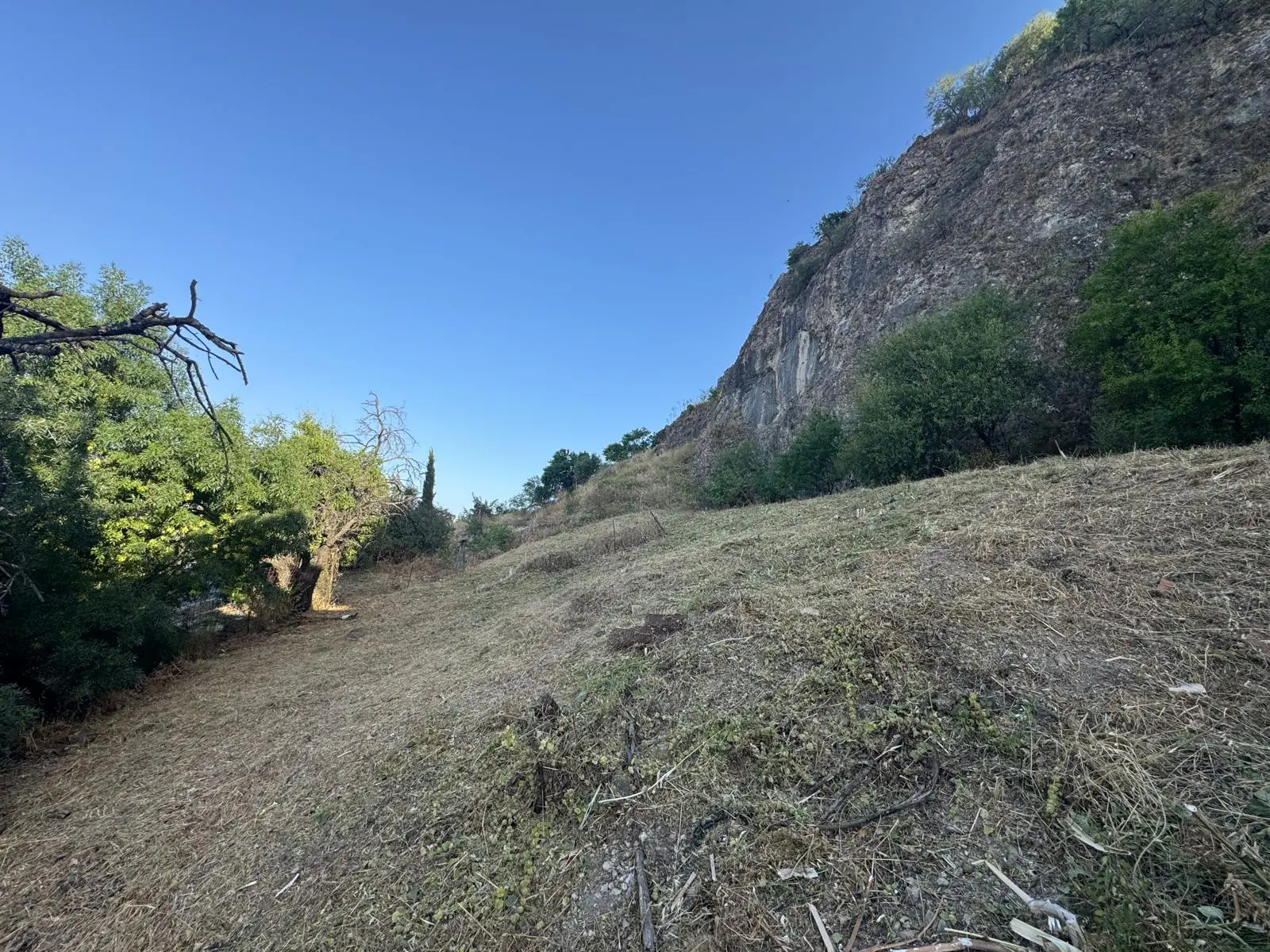 Resultado antes y después de desbroce y mantenimiento de jardín - Después